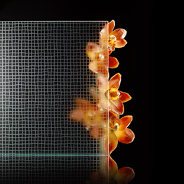 Patterned Acid Etched Glass2.png